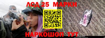 прущие грибы Кандалакша