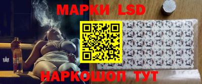 прущие грибы Кандалакша