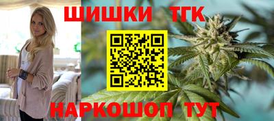 прущие грибы Кандалакша