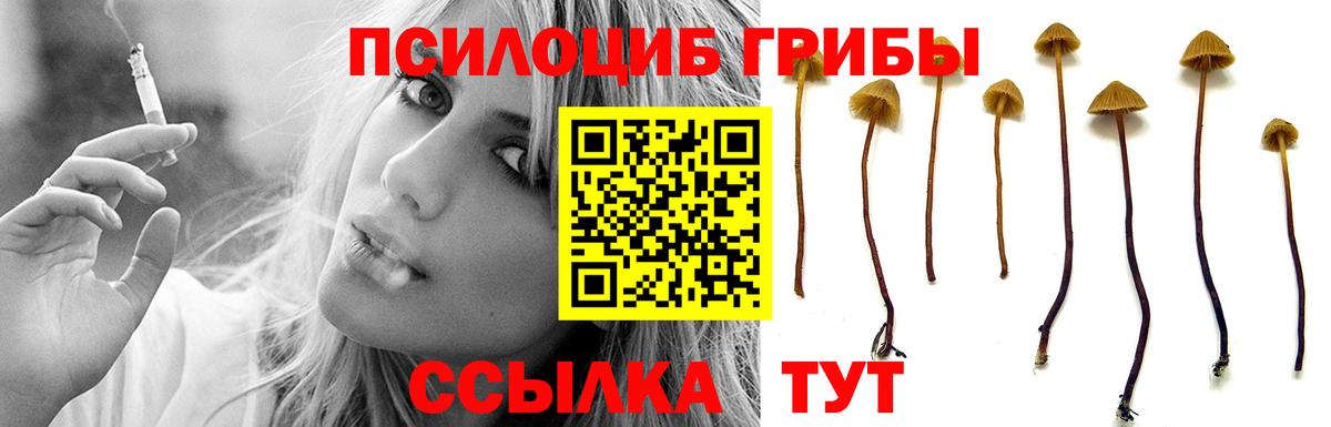 где купить наркоту  Вход с VPN  Ивантеевка  Псилоцибиновые грибы прущие грибы  Псилоцибиновые грибы мухоморы 